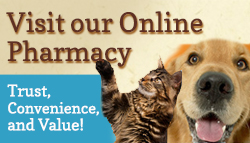 Pharmacy Banner